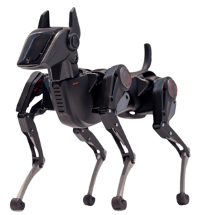 80b20d85-fd45-410a-999b-14bd80da4276